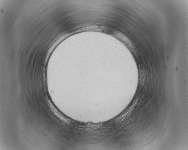 X0000071840808200607290106