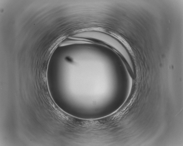 X0000071840809200607290106