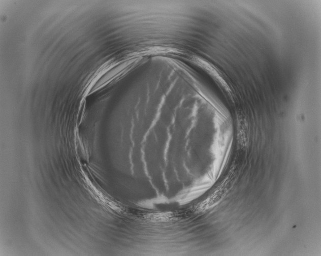 X0000071840810200607290106