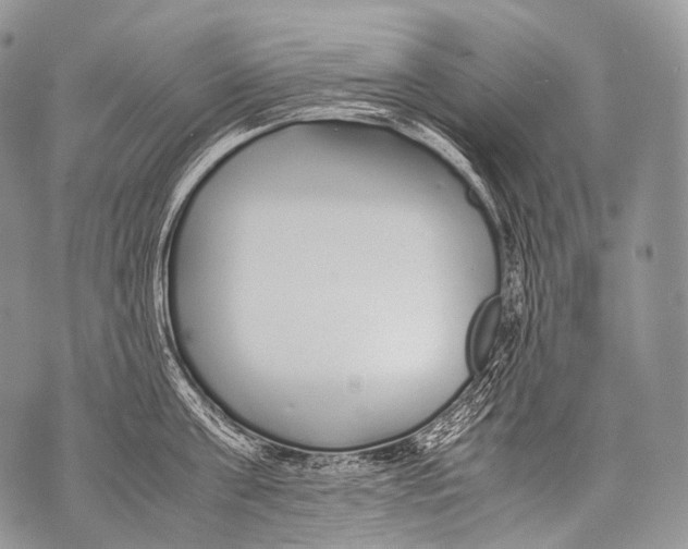 X0000071840811200607290106