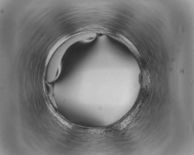 X0000071840812200607290106