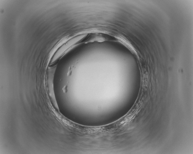 X0000071840813200607290106