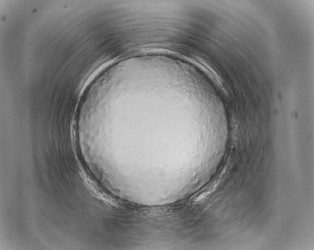 X0000071840814200607290106