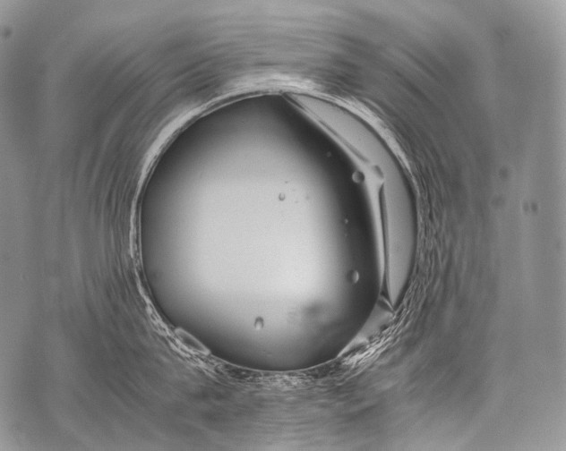 X0000071840815200607290106