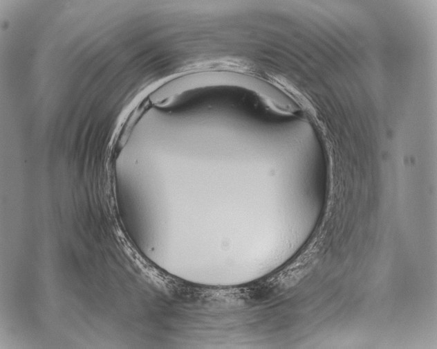 X0000071840816200607290106