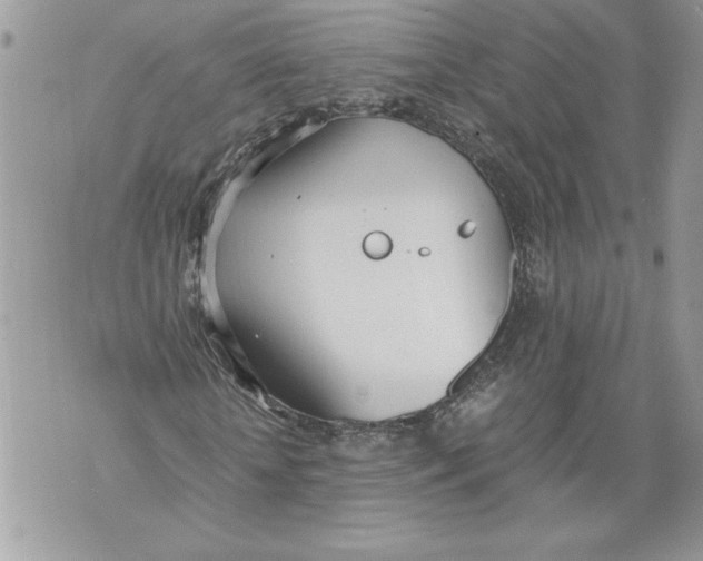 X0000071840818200607290105