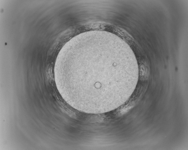 X0000071840820200607290105