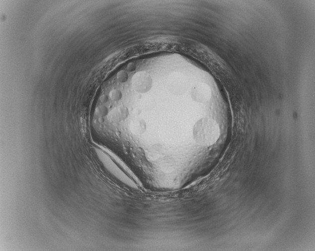 X0000071840821200607290105