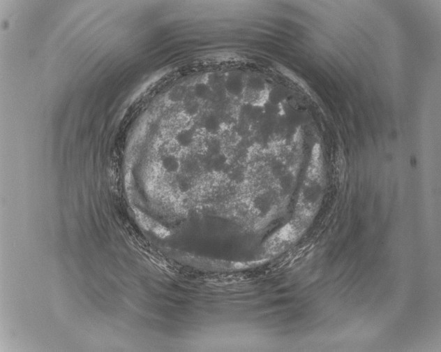 X0000071840823200607290105