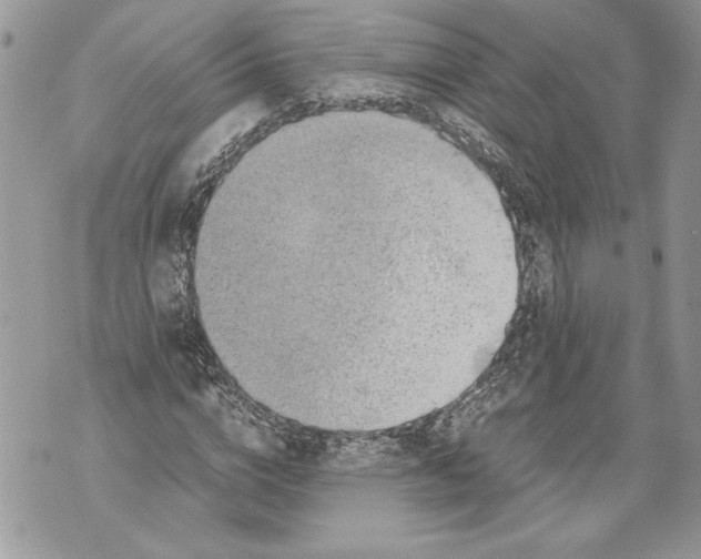 X0000071840824200607290105