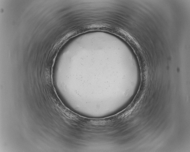 X0000071840825200607290105