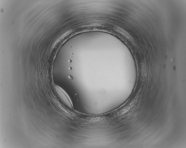 X0000071840826200607290105