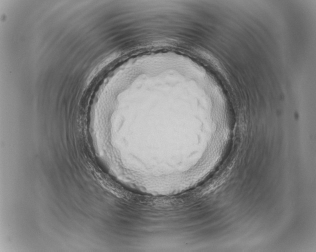 X0000071840827200607290105