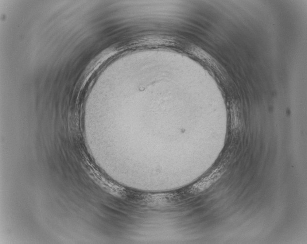 X0000071840828200607290105