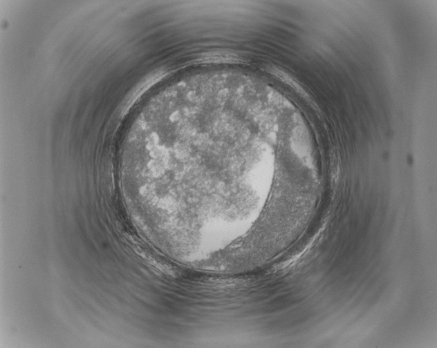 X0000071840829200607290105