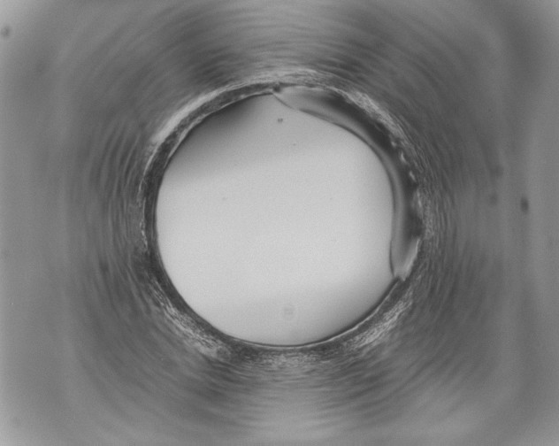 X0000071840830200607290105