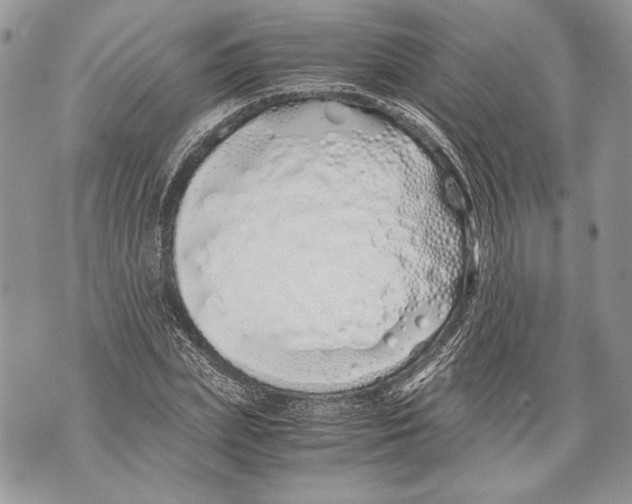 X0000071840831200607290105