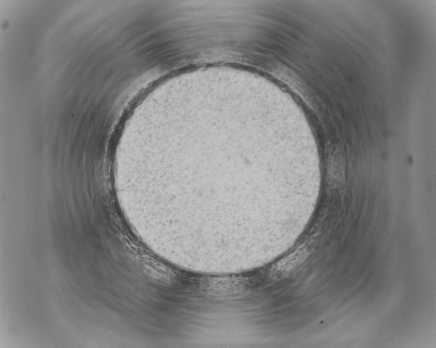 X0000071840832200607290105