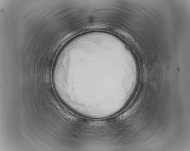 X0000071840833200607290105