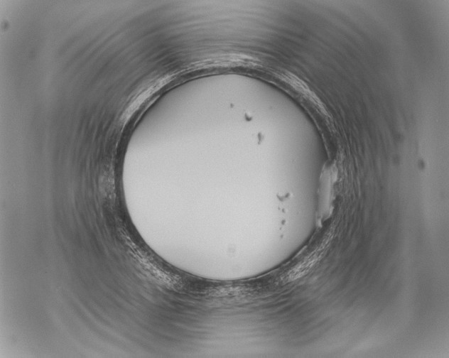 X0000071840834200607290105