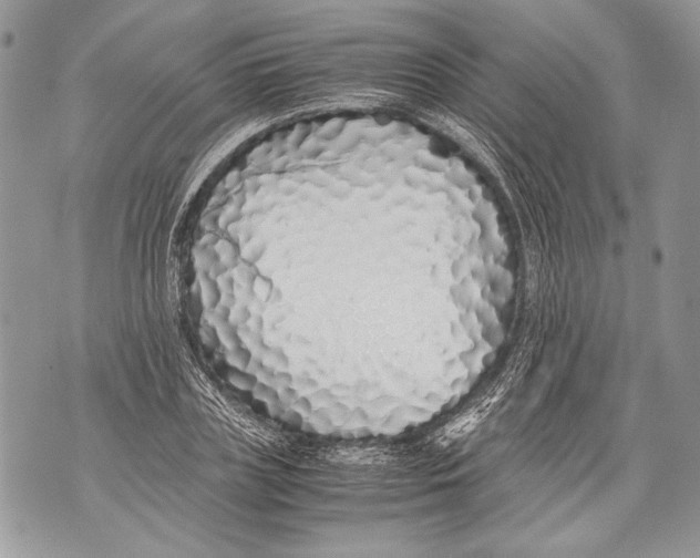 X0000071840835200607290105