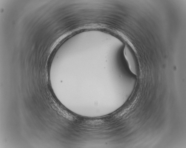 X0000071840837200607290105