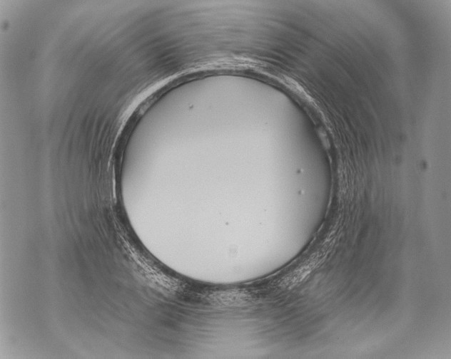 X0000071840838200607290105