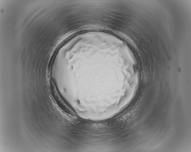 X0000071840839200607290105