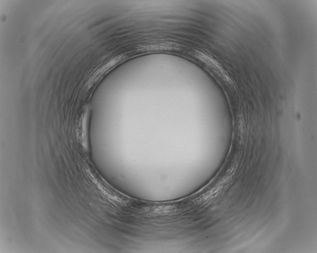 X0000071840841200607290105