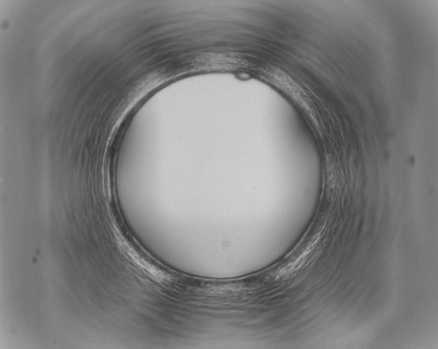 X0000071840843200607290105