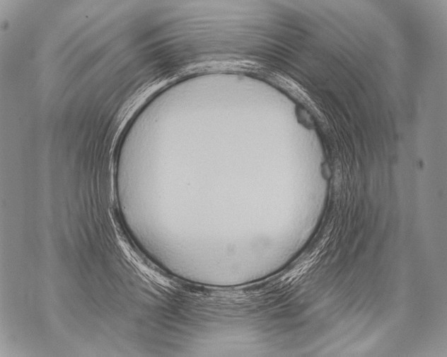 X0000071840844200607290105