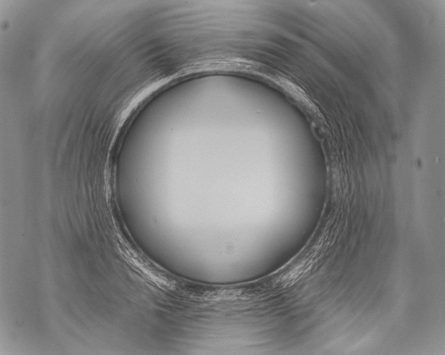 X0000071840846200607290105