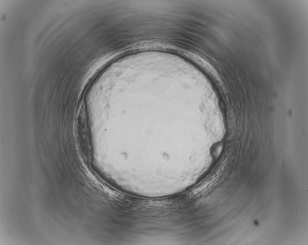 X0000071840847200607290105