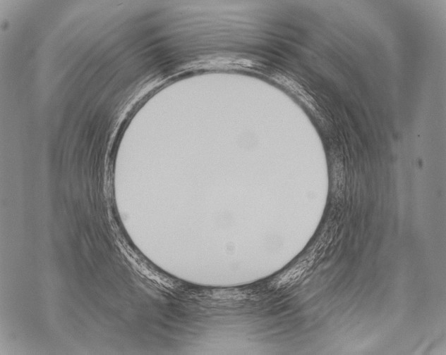 X0000071840848200607290105