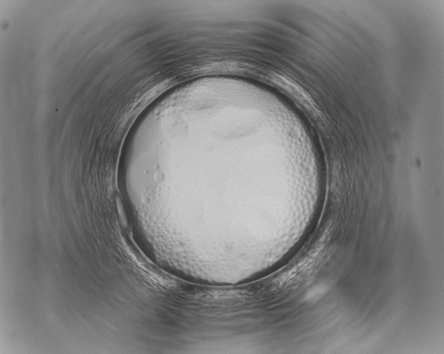 X0000071840849200607290106