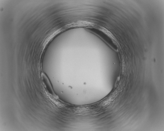 X0000071840850200607290106