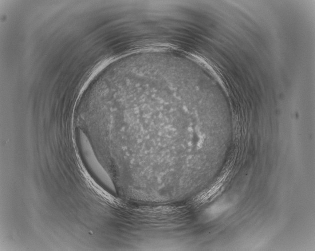 X0000071840851200607290106