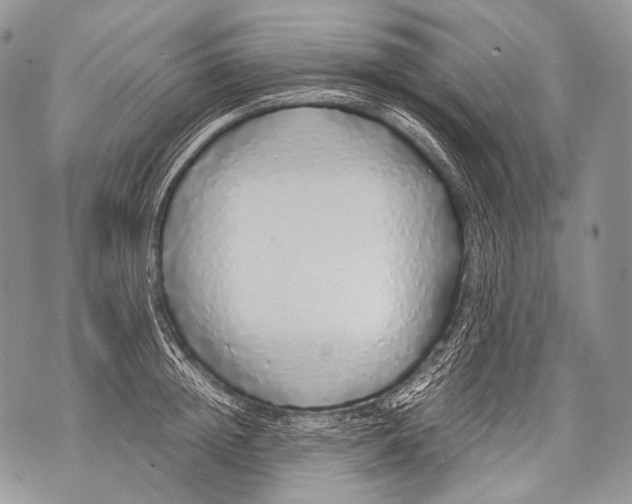 X0000071840852200607290106