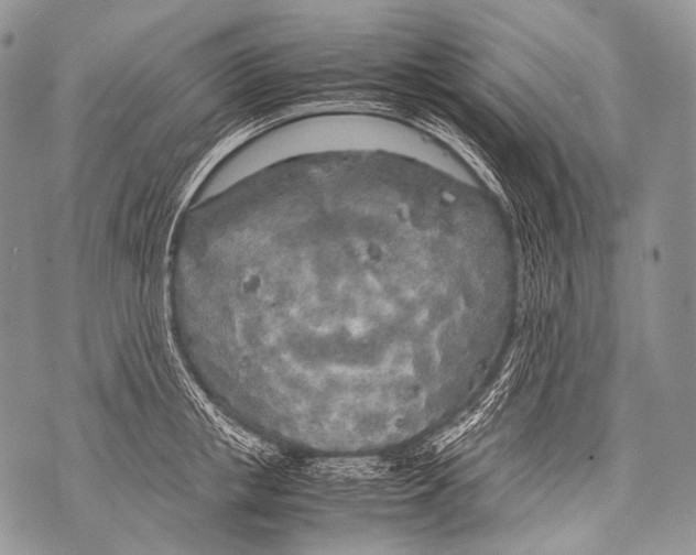 X0000071840853200607290106