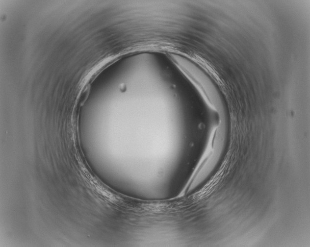 X0000071840854200607290106