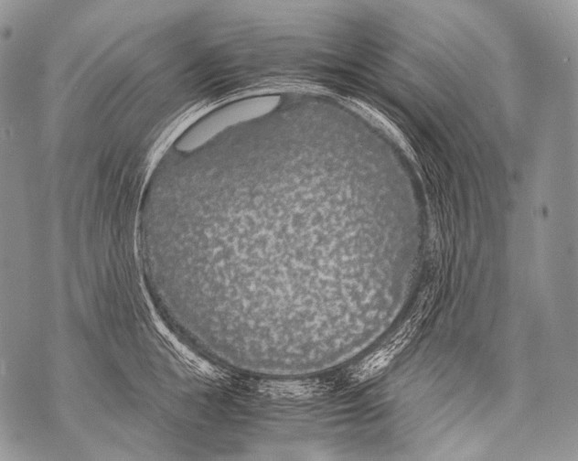 X0000071840855200607290106