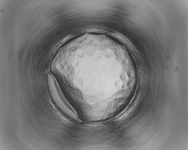 X0000071840857200607290106