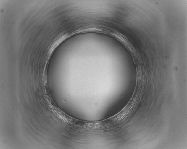 X0000071840858200607290106