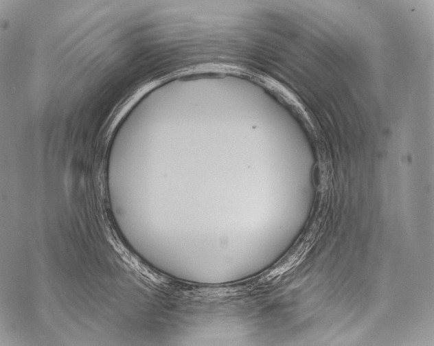 X0000071840860200607290106