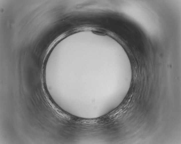 X0000071840861200607290106