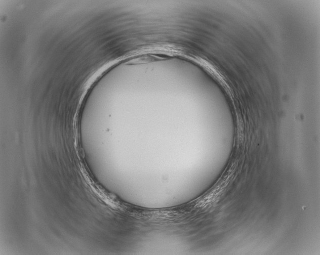 X0000071840862200607290106