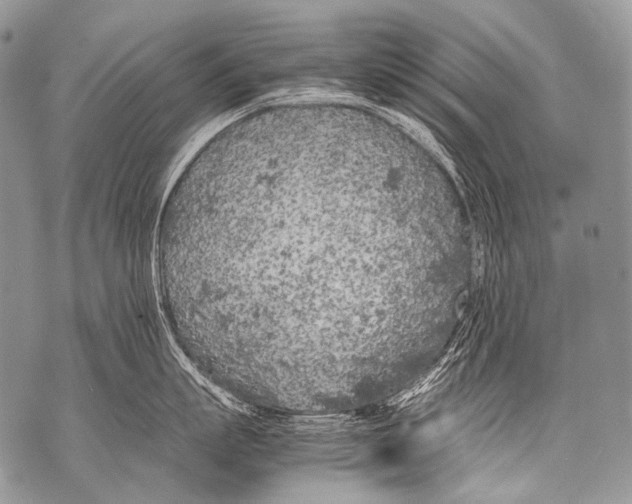 X0000071840863200607290106