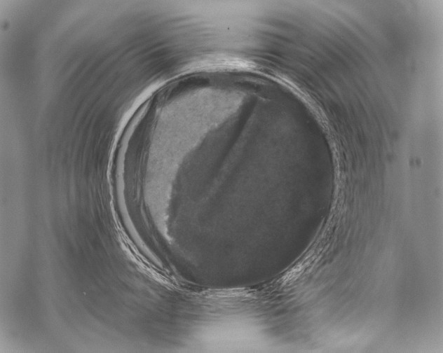 X0000071840864200607290106