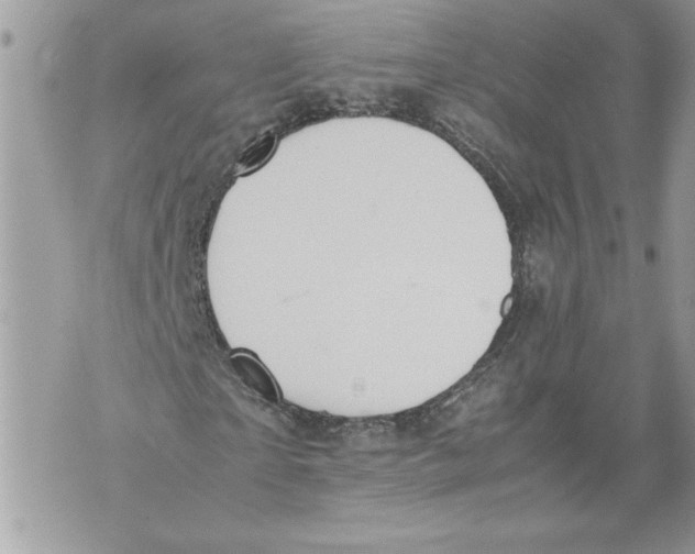 X0000071840865200607290105