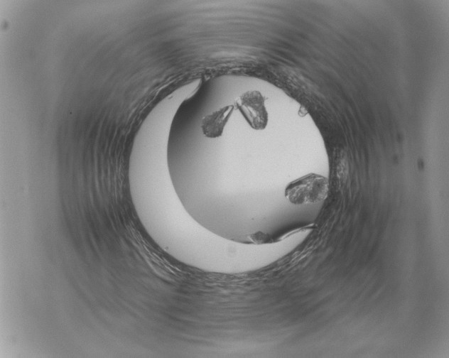 X0000071840868200607290105